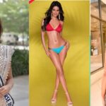 Miss Universe Harnaaz Sandhu