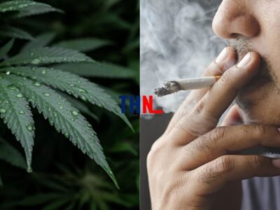 CBD Cigarettes benefits