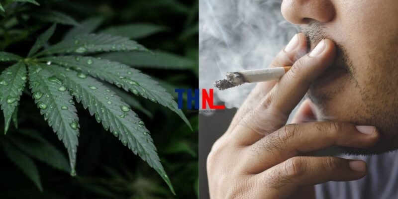 CBD Cigarettes benefits