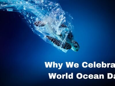 World Ocean Day 2023
