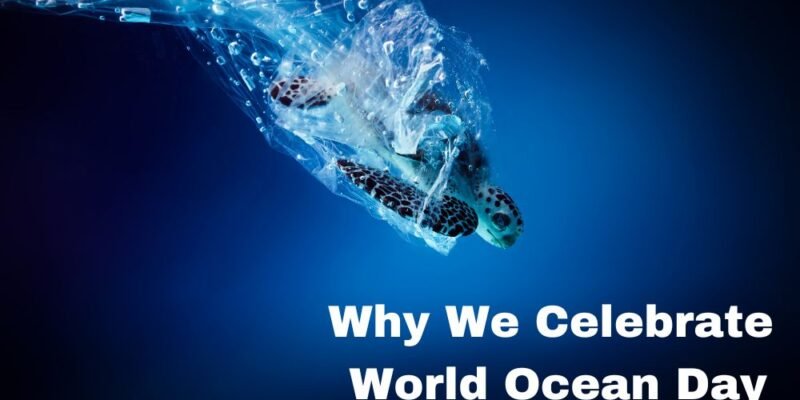 World Ocean Day 2023