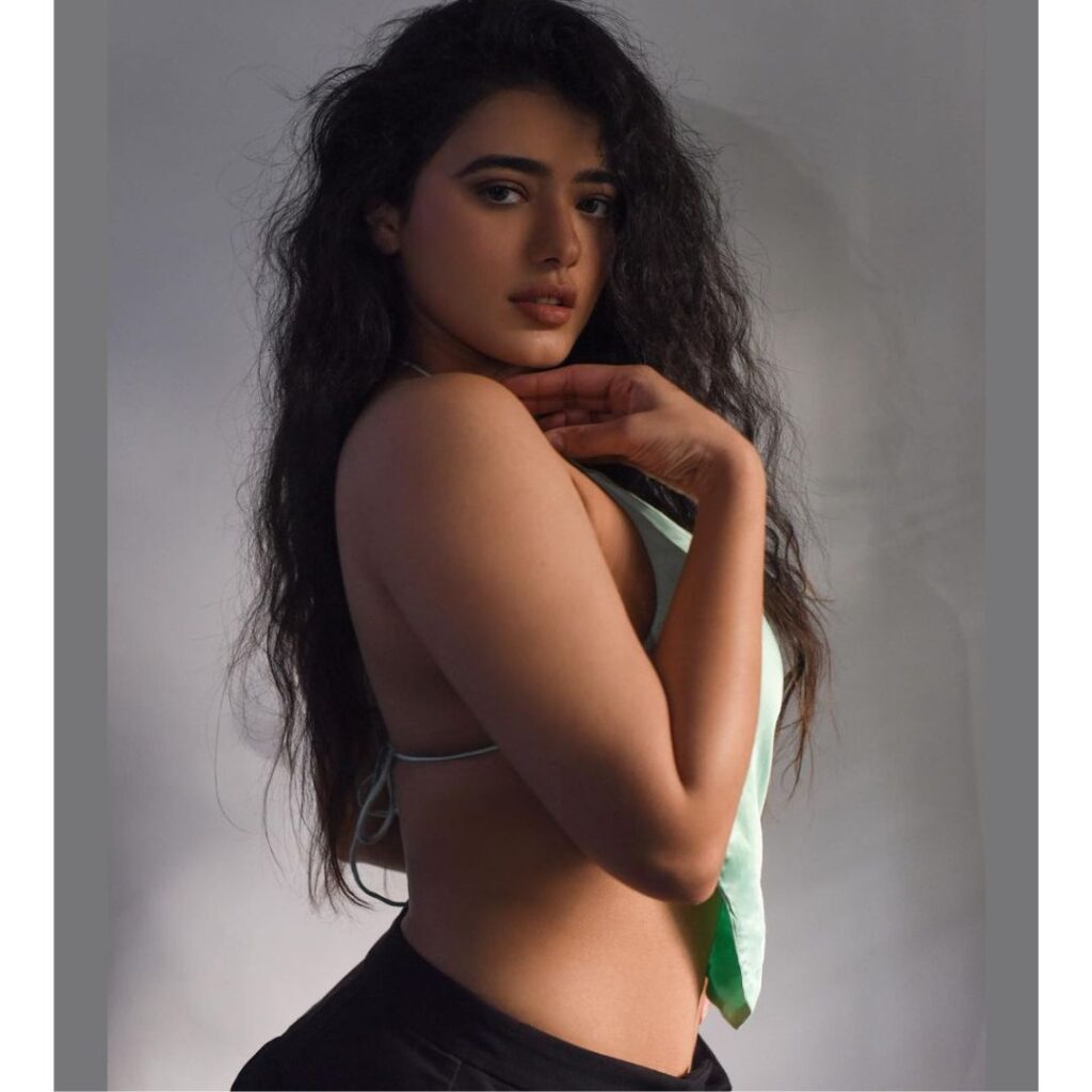 Hot Ketika Sharma Photos