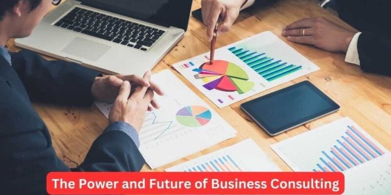 The Power and Future of Business Consulting